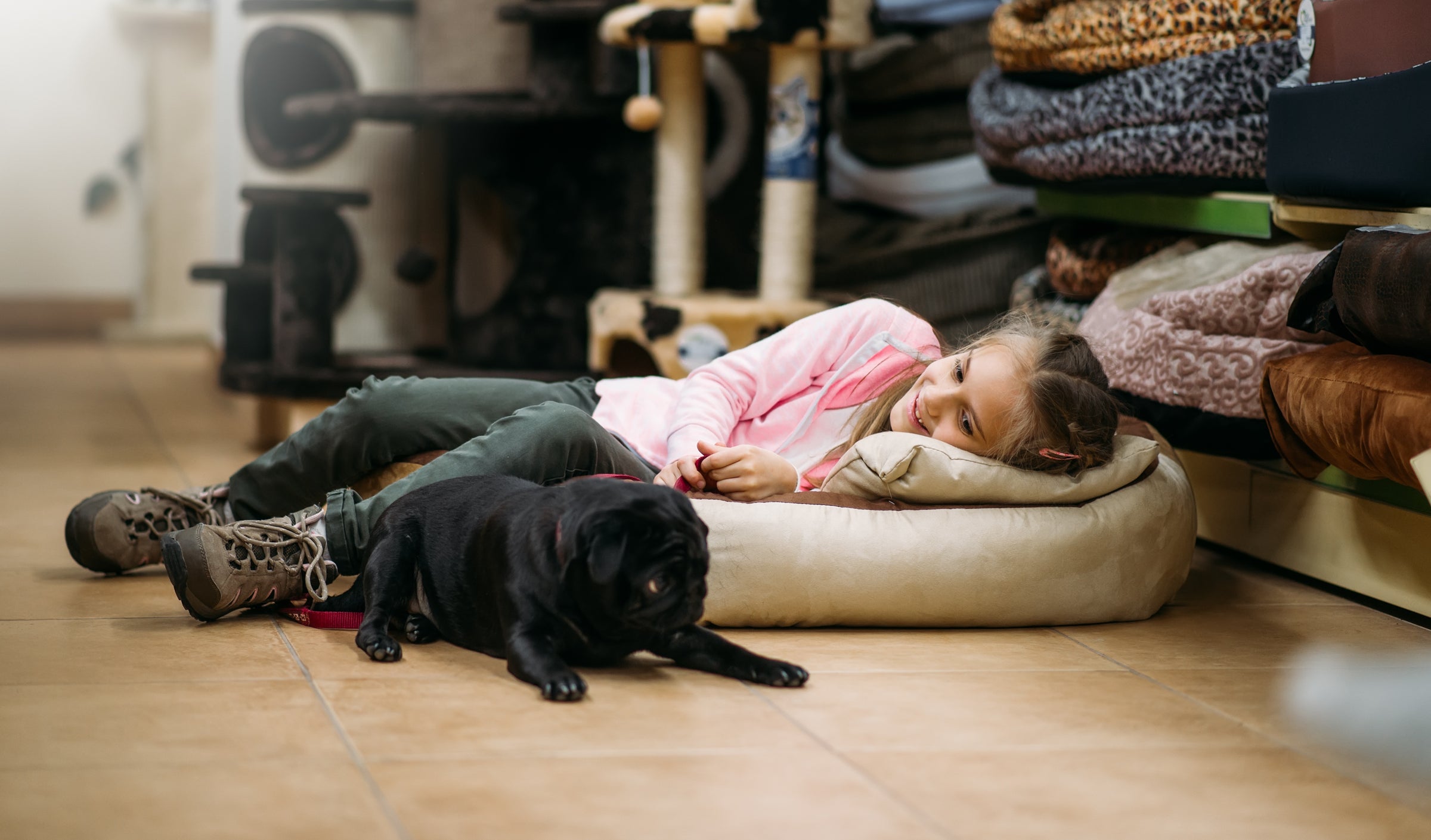 Pet Beds