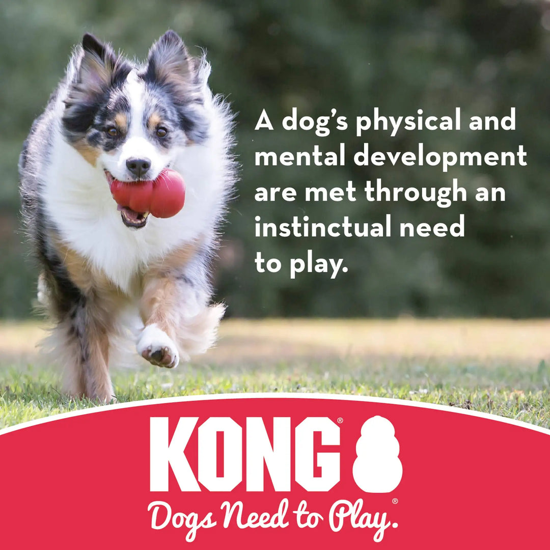 KONG - Flyer - Durable Rubber Flying Disc Dog Toy