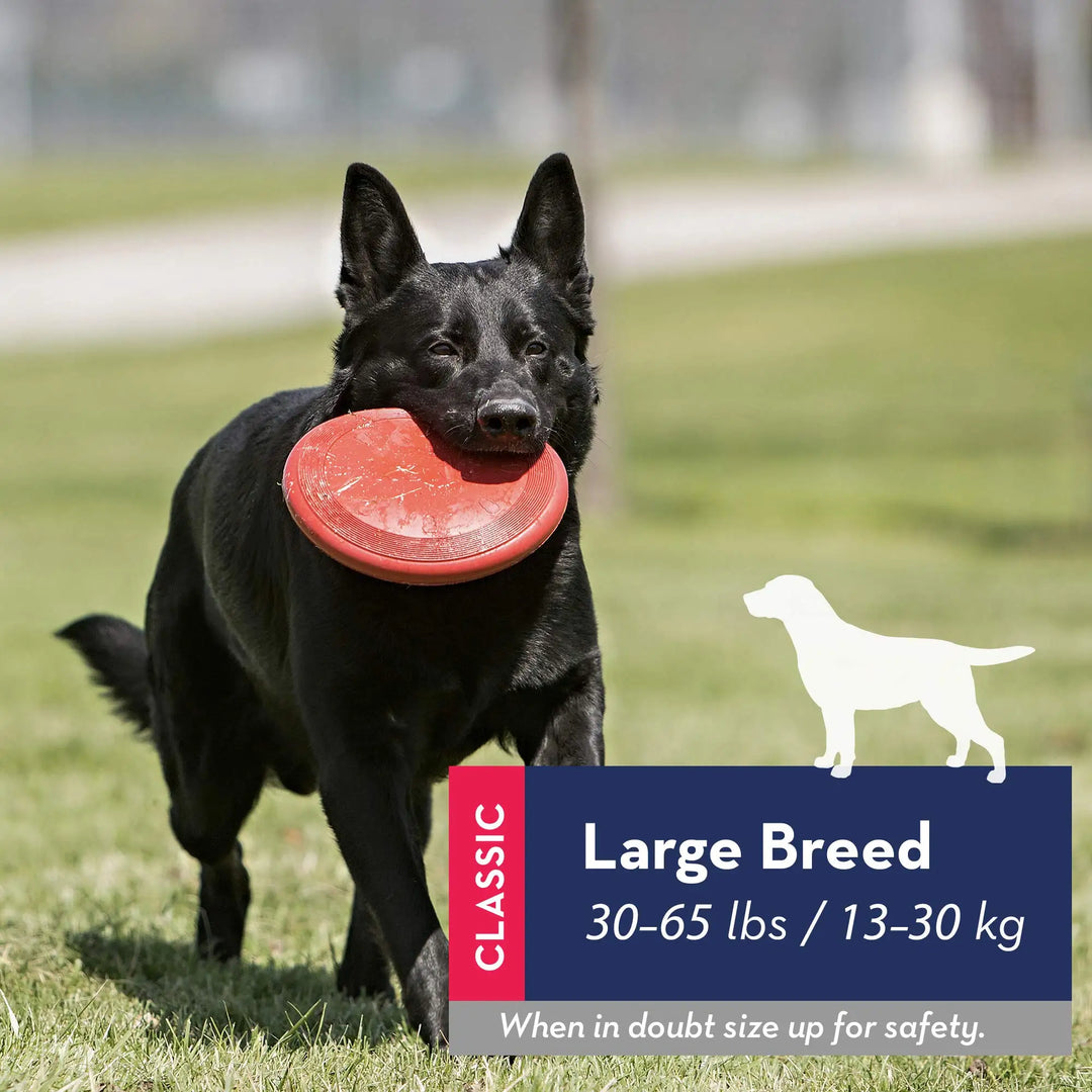 KONG - Flyer - Durable Rubber Flying Disc Dog Toy