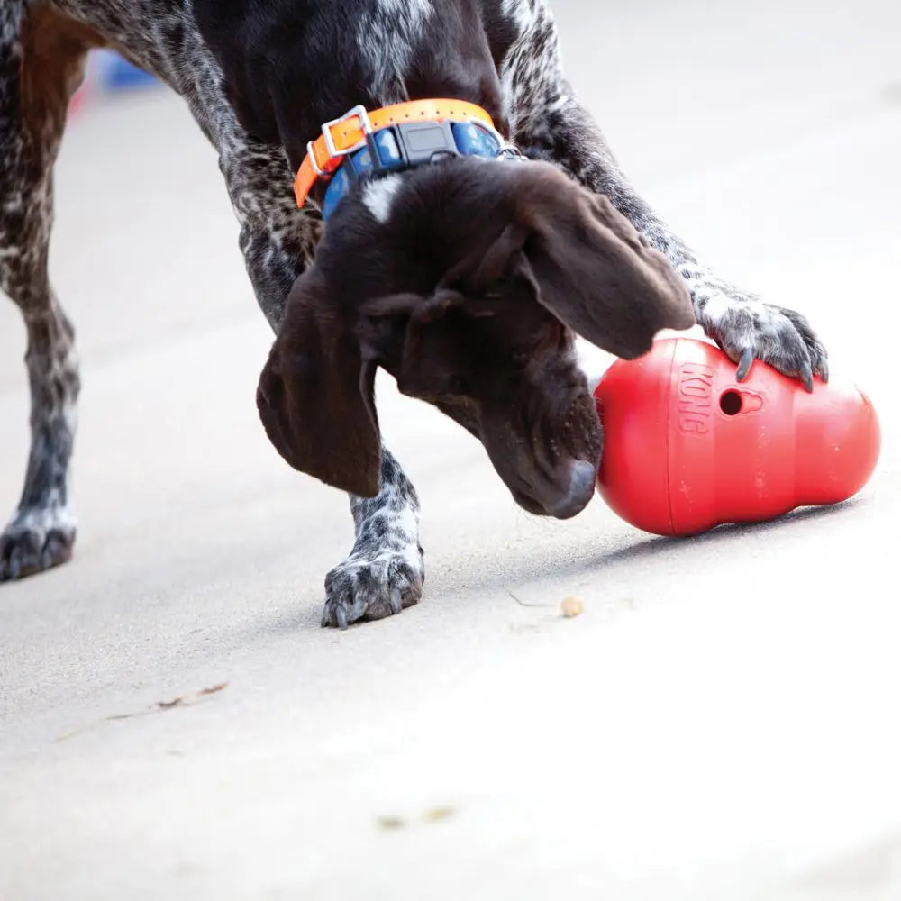 KONG Wobbler Dog Toy S Size