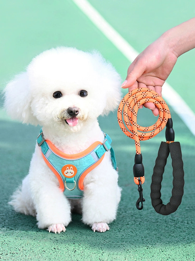 Dog Hand Holding Rope Vest-Style Puppy Small Size Dogs Chest Strap Bichon Teddy/Pomeranian Dog Leash Puppy Chain