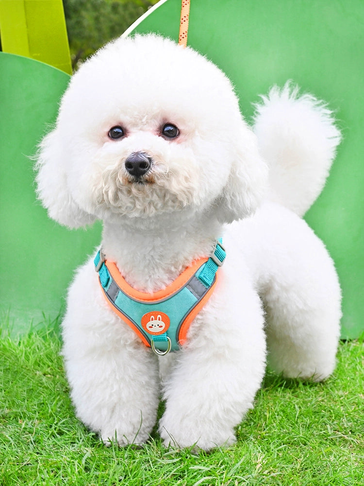 Dog Hand Holding Rope Vest-Style Puppy Small Size Dogs Chest Strap Bichon Teddy/Pomeranian Dog Leash Puppy Chain