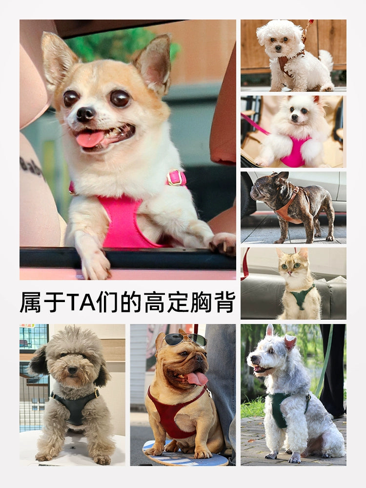 Dog Hand Holding Rope Small Size Dogs Chest Strap Vest-Style Puppy Teacup Small Body Teddy/Pomeranian Jarre Aero Bull Dog Leash