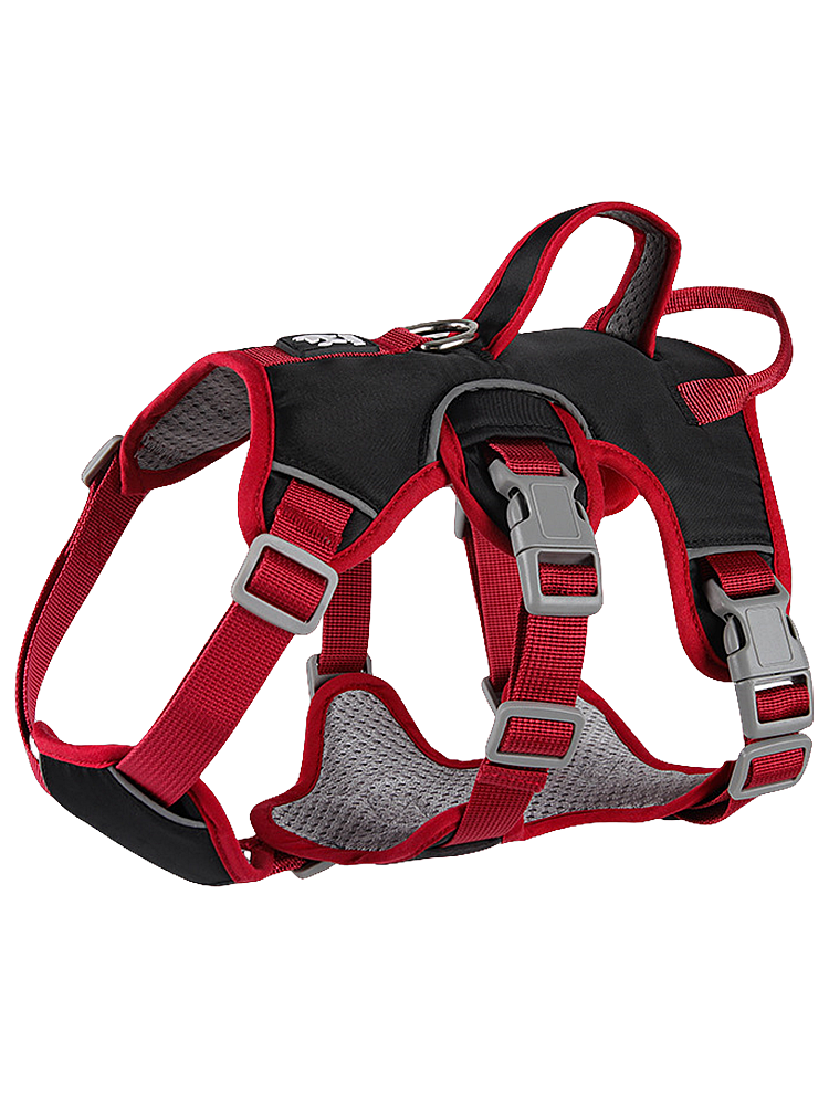 Pet Explosion-Proof Vest-Style Small and Medium-Sized Dogs Dog