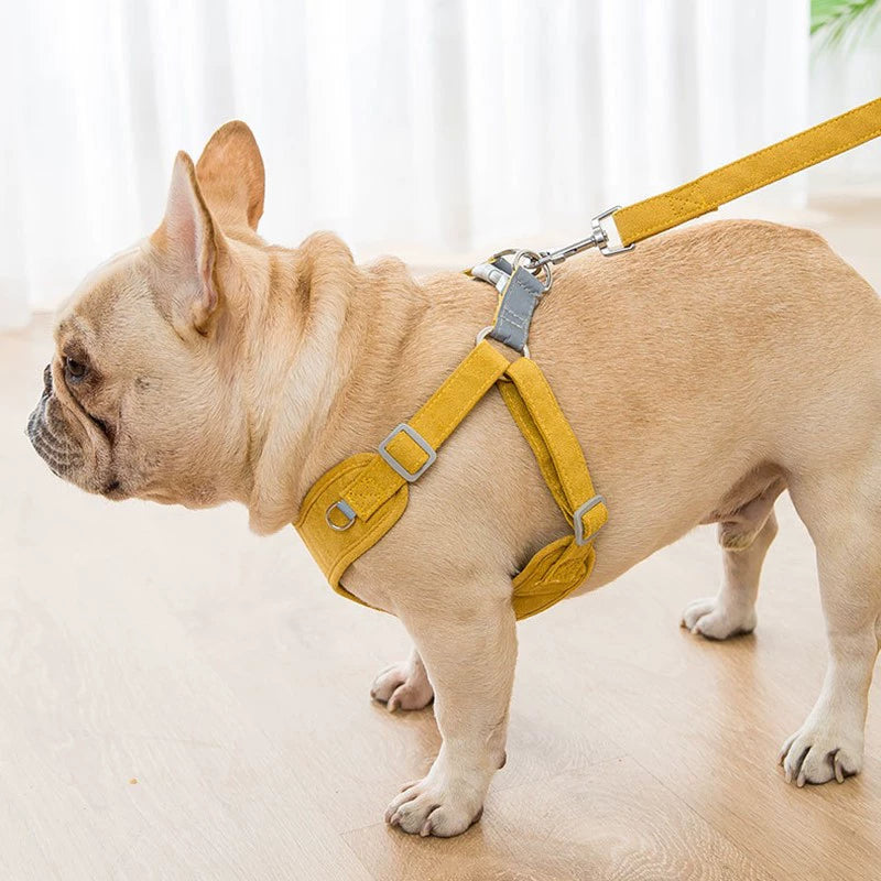 Dog Hand Holding Rope Vest Style Dog Leash Anti Breaking Loose Chest Strap Jarre Aero Bull Pug Bullfight Pekingese Beagle Dogs Supplies