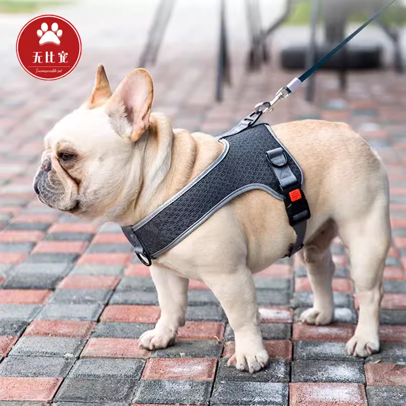 Dog Breast Strap Vest Style Hand Holding Rope Dog Leash Teddy/French Bulldog Corgi Bichon Silver Fox Shar Pei Pug Supplies