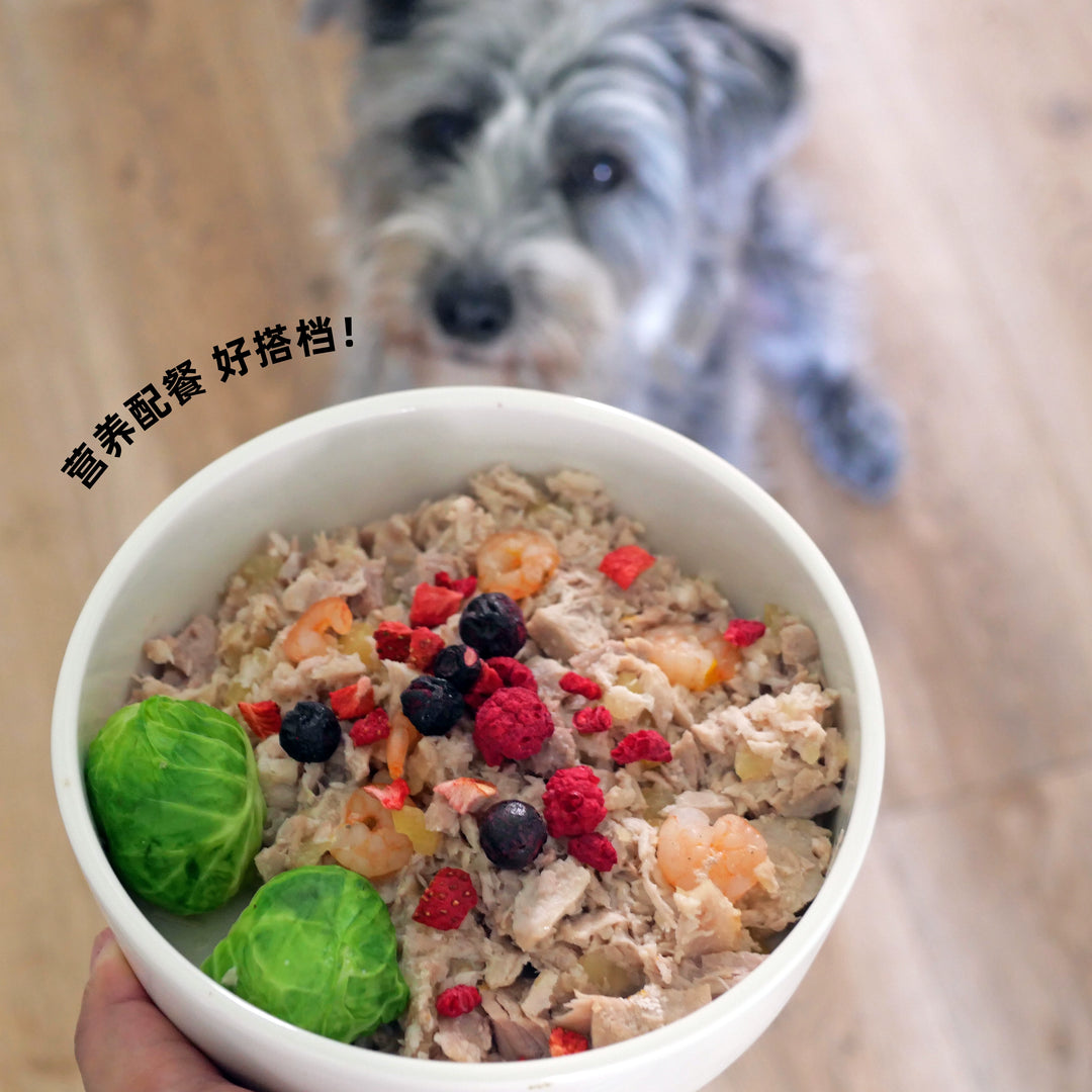 Mixed Freeze-Dried Berry Oil-Free Diuresis Detoxification Pet Dog