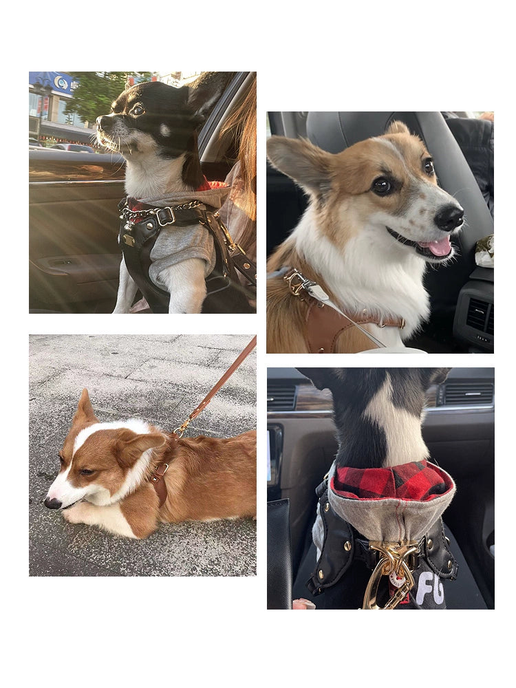 Dog Hand Holding Rope Chest Strap Small and Medium-Sized Dogs Leather Vest Adjustable Dog Leash Corgi Silver Fox Pet