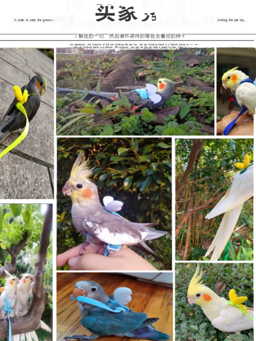 Ultra-Light Bird Outing Strap Flight Rope Tiger Skin Peony Hand Holding Rope Xuanfeng Parrot Flying Rope Walking Bird Handy Gadget