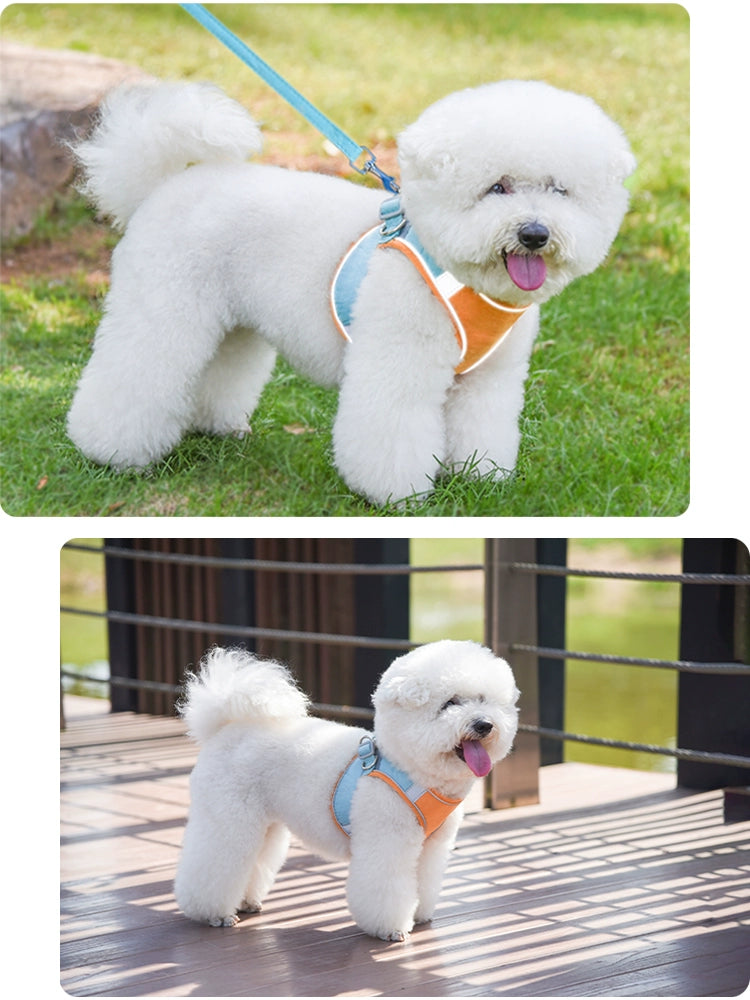 Dingke Vest Dog Hand Holding Rope Chest Strap Teddy Bichon Small and Medium-Sized Dogs Dog Leash Chain Pet Supplies