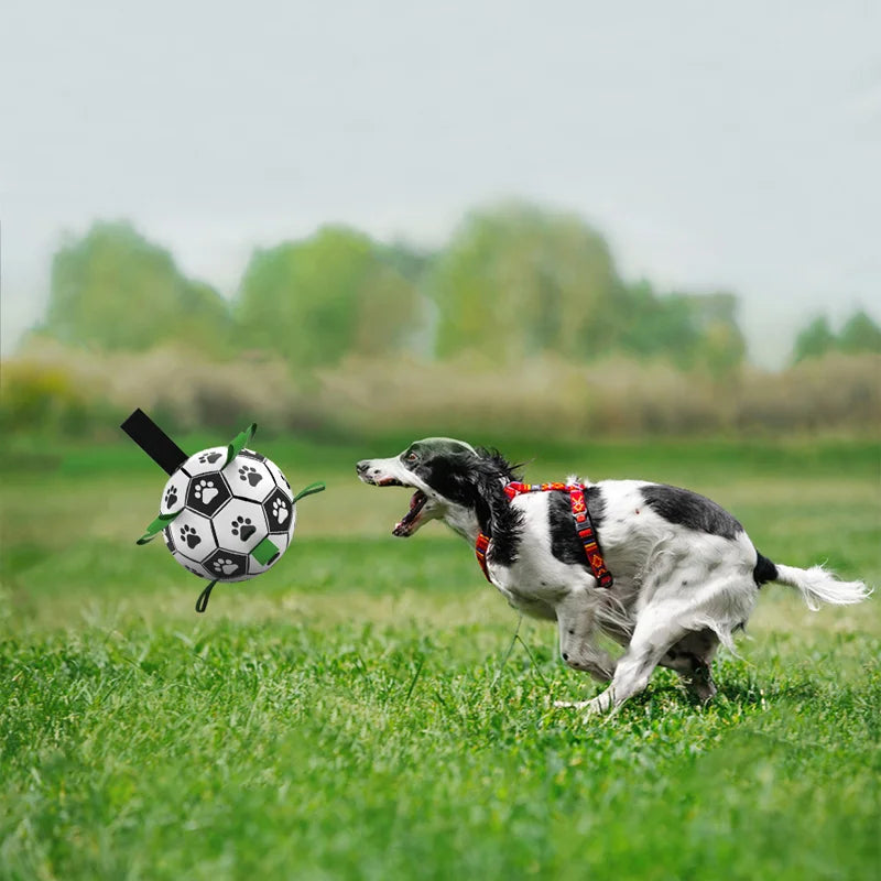 Dog Football Toy Pet Dog Toy Dog Interactive Toy Small Medium Breeds Soccer Ball Ball Against Dog Best Dog Toy Products For Dog