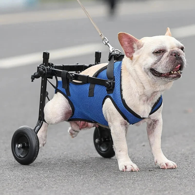 Adjustable Dog Wheelchair Hind Limb Hind Leg Disabled Pet Cat Dogs Mobility Aid Trolley Legs Rehabilitation Light Pet Walk Tools