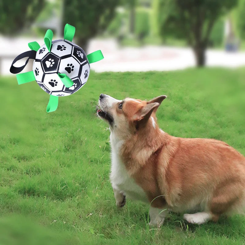 Dog Football Toy Pet Dog Toy Dog Interactive Toy Small Medium Breeds Soccer Ball Ball Against Dog Best Dog Toy Products For Dog