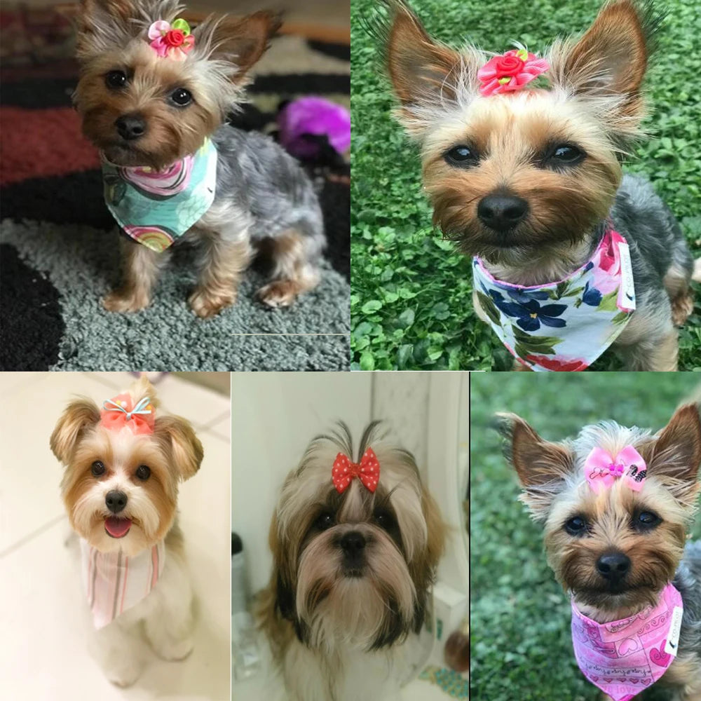 10pcs /20pcs/30pcs New Various Style Pet Dog Bows Pet Hair Bows Rubber Bands with Diamond Dog Bow Grooming Supplies Wholesale