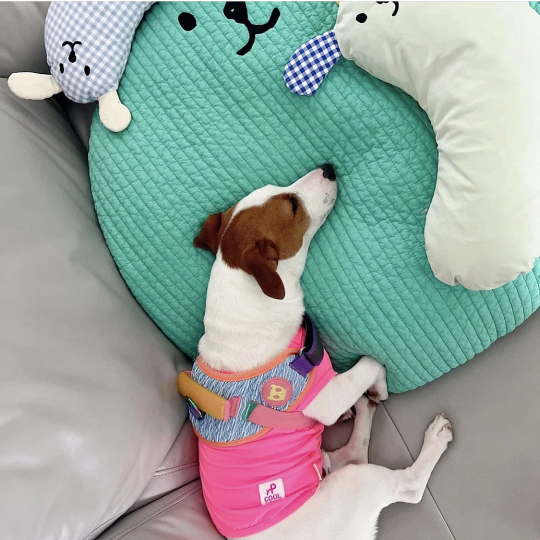 Cotton Soft Cute Cushion Pet Cushion Round Quilted Cotton Non-Stick Hair Removable Puppy Deep Sleep Dog Bed Kennel Dog Supplies