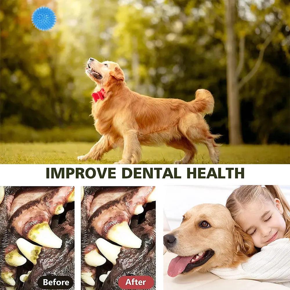 3PCS/Set Dogs phonation Chew Spiky molar Ball Reduce Anxiety Toss for Boredom Teeth Cleaning Dog Chew Toys Interactive Dog Toys