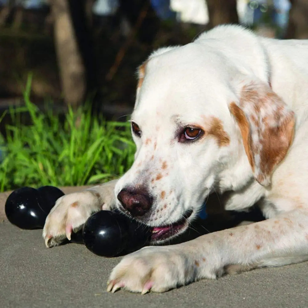 KONG - Extreme Goodie Bone - Durable Rubber Dog Bone for Power Chewers Pet Items Soccer Black Dock Pets Dogs Accessories Toy