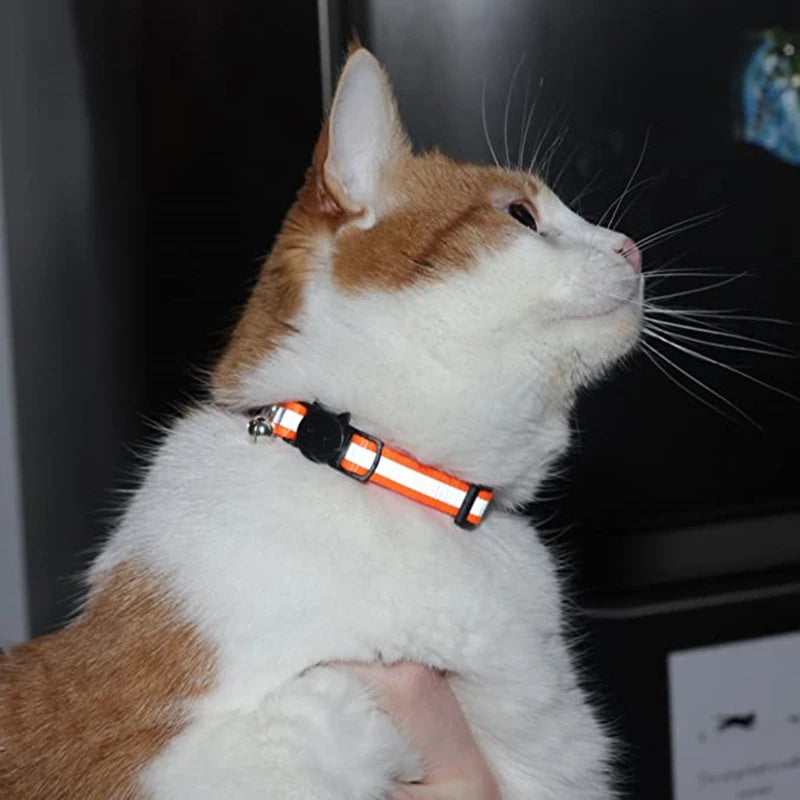 Cat Collar Personalized Nylon Dog Collar Night Safety Adjustable Reflective Dog Leash Pet Necklace For Puppy And Cat Accessories