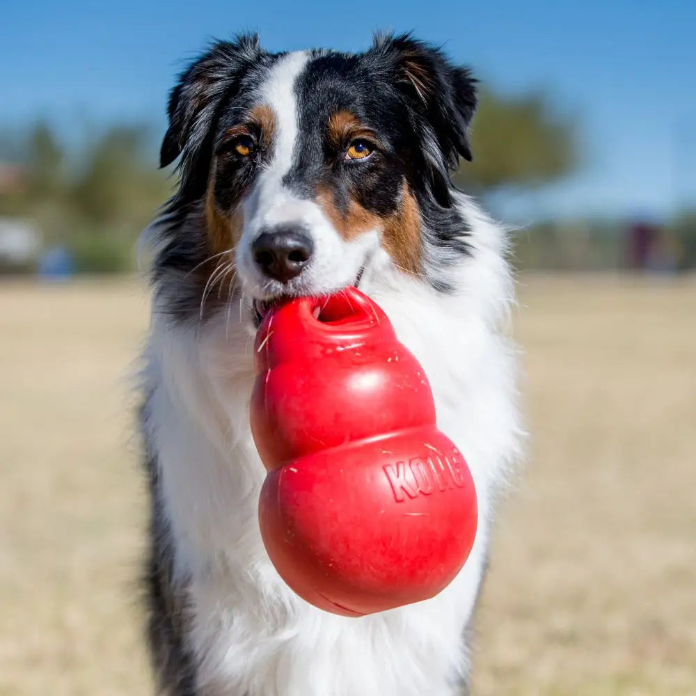 KONG Bounzer Large Dog Toys Moving Dogs Turning Red For Pets Products Toys