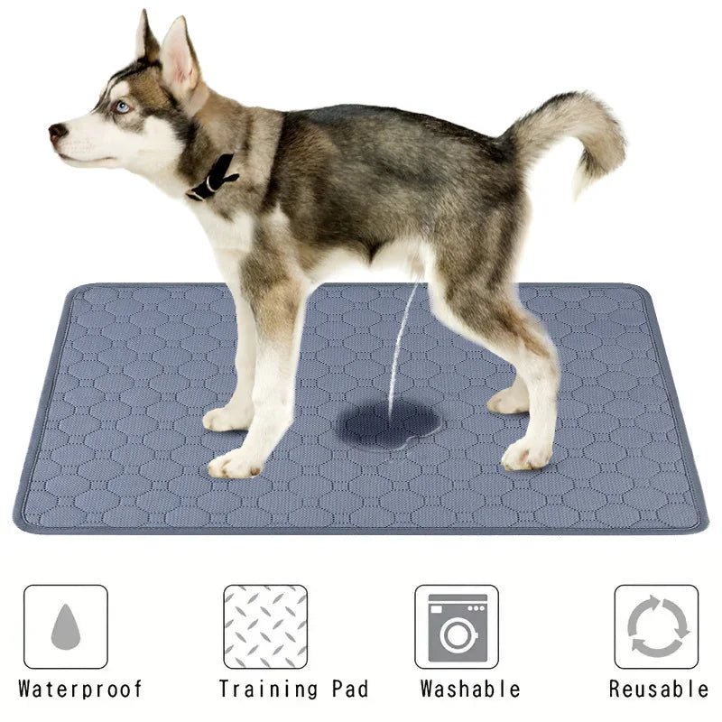 Dog Pee Pad Blanket Reusable Highly Absorbent Diaper Mat Washable for Puppy Training Pad Pet Bed Urine Mat Pet Car Seat Cover