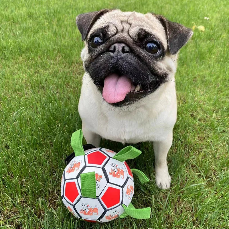 KOMMILIFE Interactive Football Toy For Dogs Outdoor Training Soccer Pet Dog Toys Dog Bite Chew Toy Medium Large Dog Ball Toys