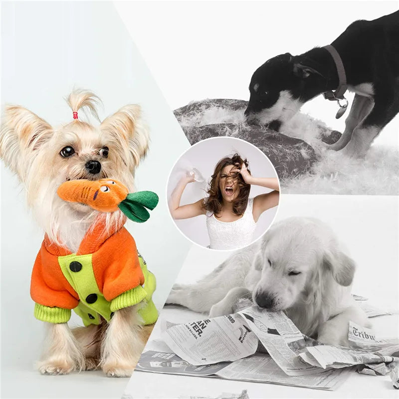 10/20/50 Pack Dog Squeaky Toys Plush Games Cute Plush Toys for Small Medium Dog Fleece Toys Wholesale