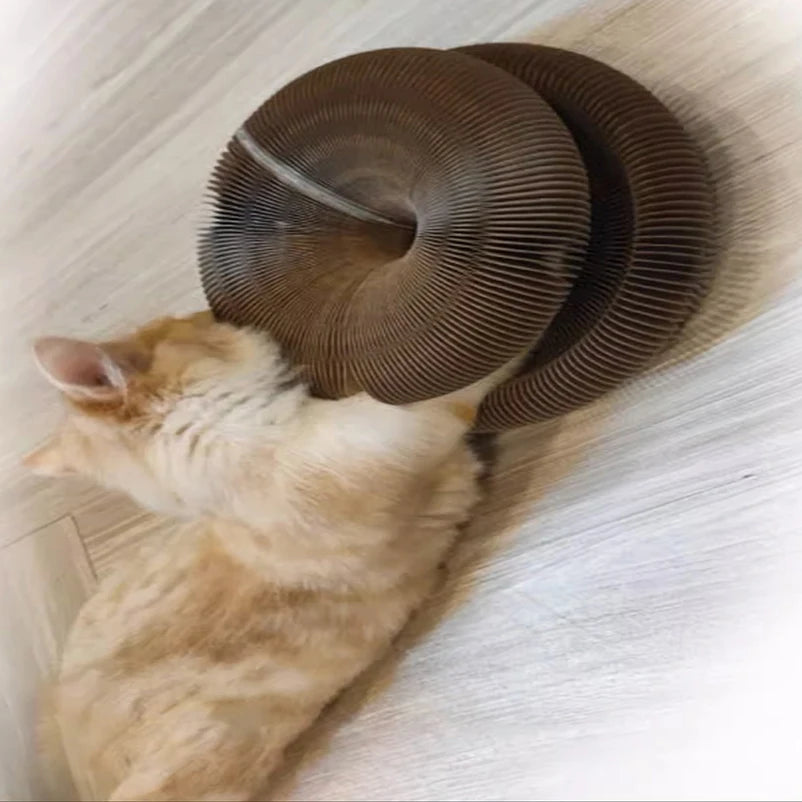 Wear-resistant non-shedding cat toy organ cat scratching board self-pleasure and boredom relief artifact rubber ball energy-cons