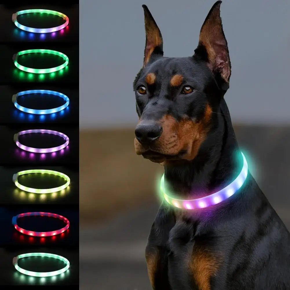 Rechargeable Pet Collar Rainproof Led Dog Collar Adjustable Size Flashing Modes for Night Safety Rechargeable Silicone for Dogs