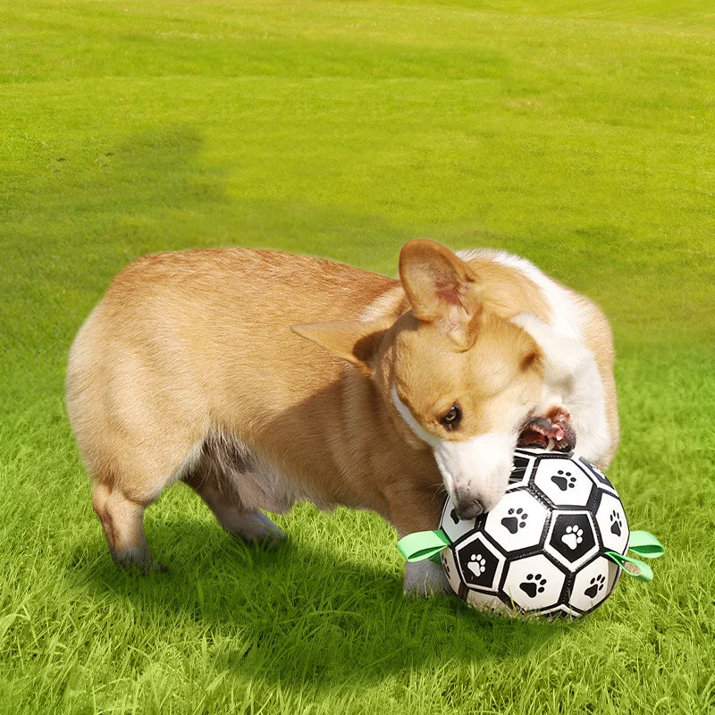 Dog Football Toy Pet Dog Toy Dog Interactive Toy Small Medium Breeds Soccer Ball Ball Against Dog Best Dog Toy Products For Dog