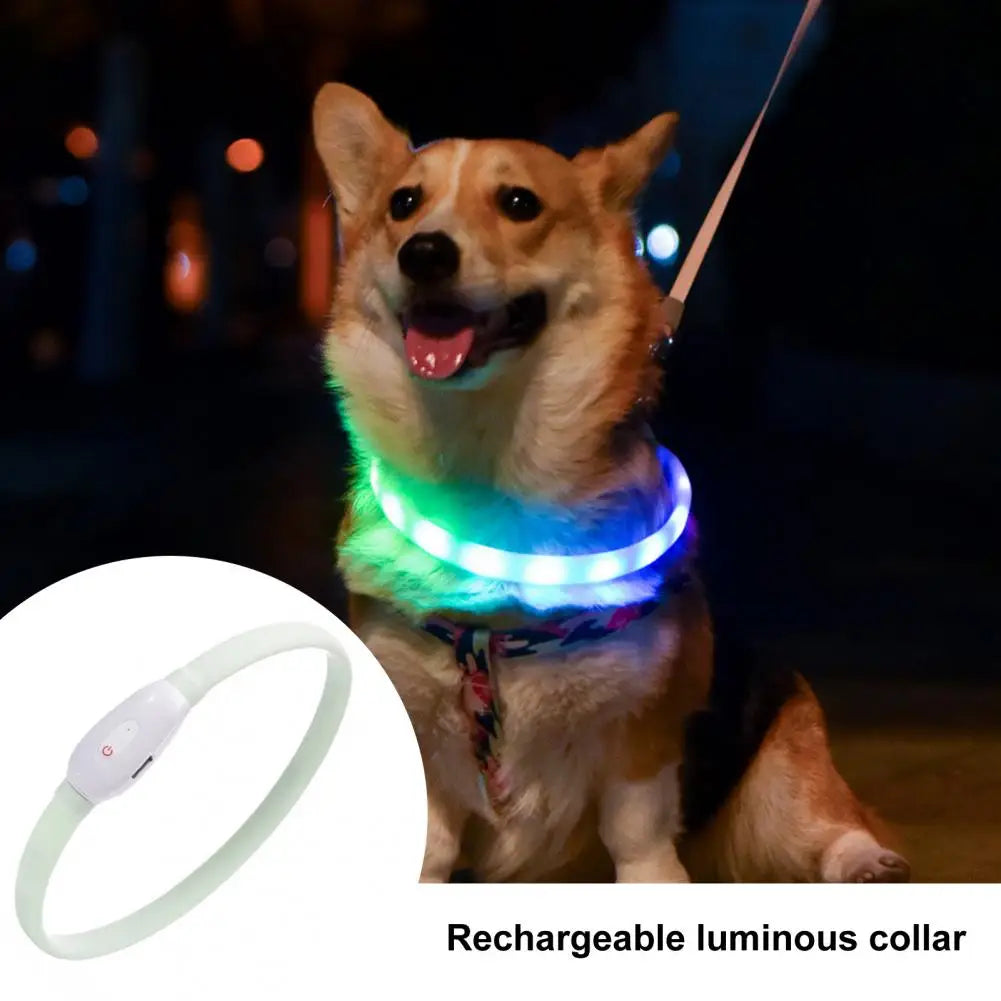 Rechargeable Pet Collar Rainproof Led Dog Collar Adjustable Size Flashing Modes for Night Safety Rechargeable Silicone for Dogs