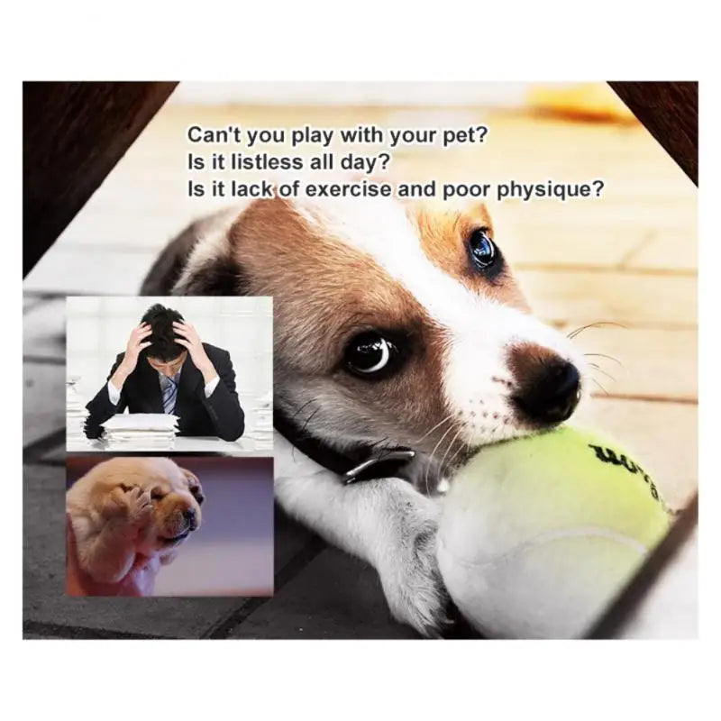 1pc Pet Dog Bite Ball Toys For Small Dogs Rubber Chew Puppy Toy Dog Stuff Dogs Toys Pets Tennis Launcher Small Ball