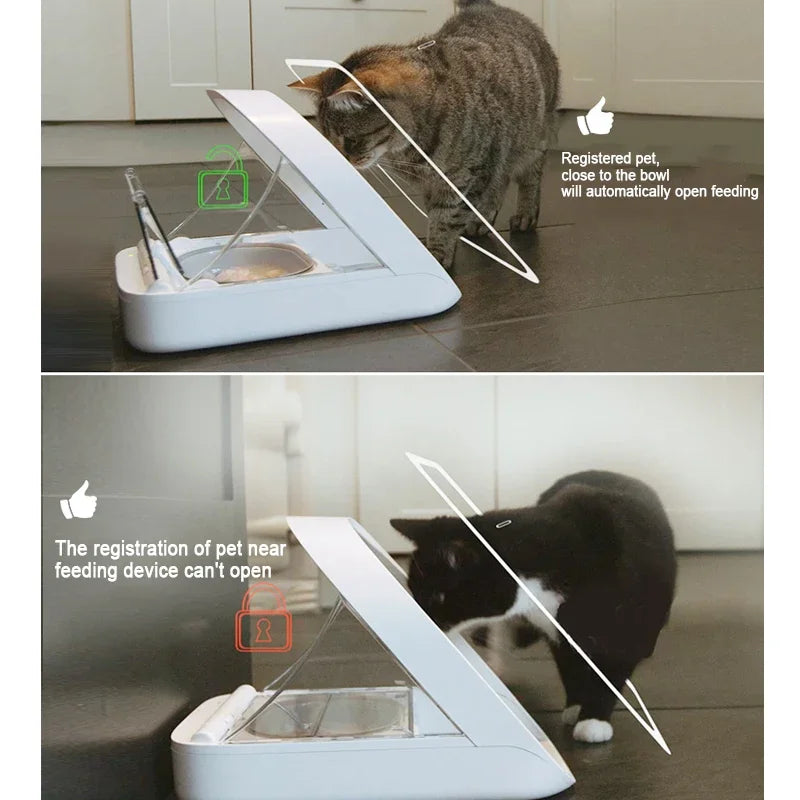 Anti-Snatch Smart Feeder no charging cable Surefeed UK Chip Recognition Sensor Automatic  Wet Food Fresh Pet Bowl Worm Proof