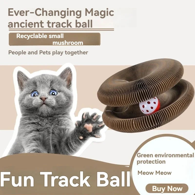 Magical Organ Cat Scratching Board, Wear-resistant Indoor Interactive Pet Toys