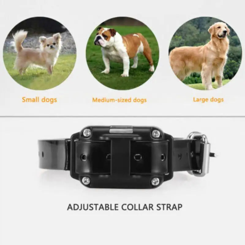 Electric Dog Training Collar Waterproof Pet Remote Control Rechargeable 800m Training Dogs Collars Anti Barking Device Teaching