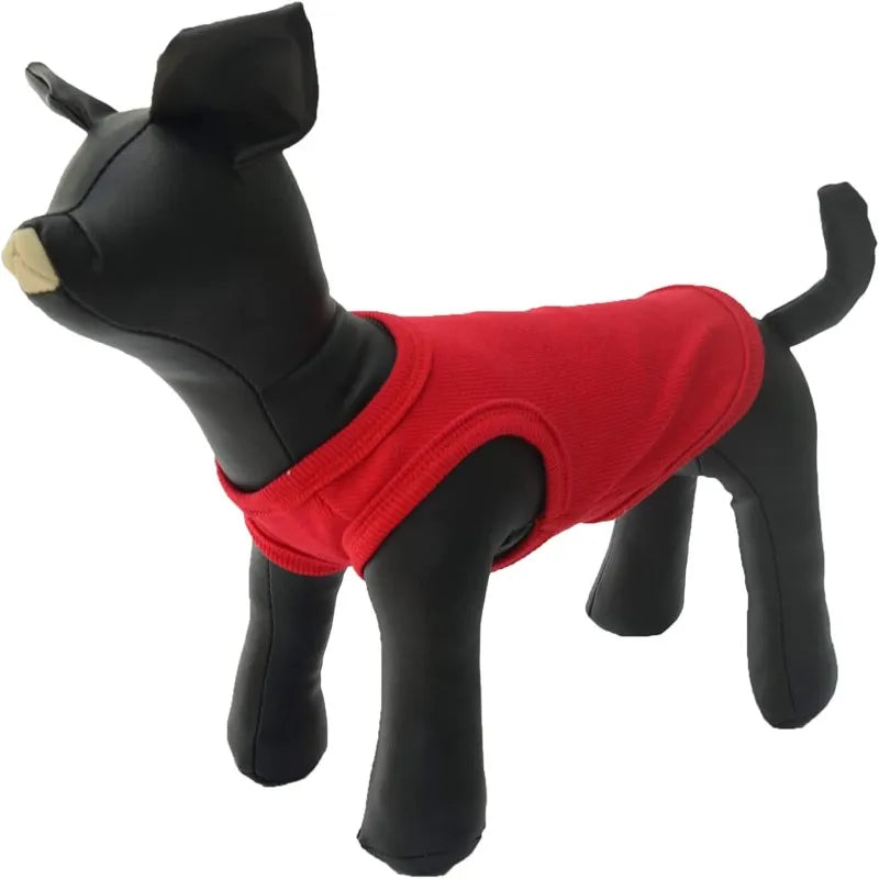 pawstrip 1PC Leather Dog Mannequin Standing Position Dog Models PetShop Display For Clothing Apparel Collar Pet Dog Toys