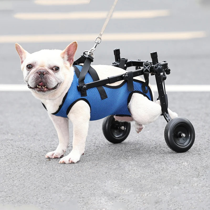Adjustable Dog Wheelchair Hind Limb Hind Leg Disabled Pet Cat Dogs Mobility Aid Trolley Legs Rehabilitation Light Pet Walk Tools