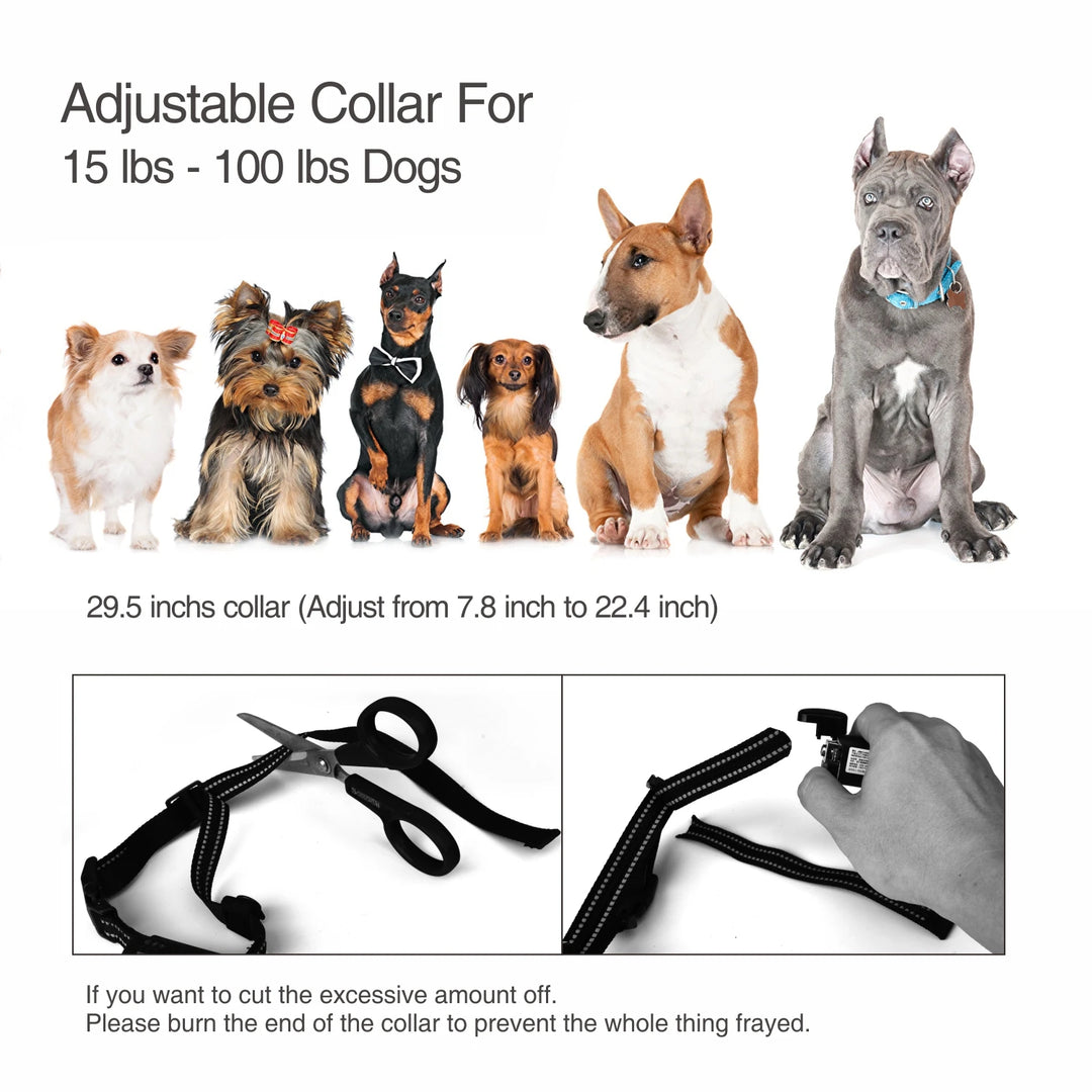 Dog Training Bark Collar 2 in 1 Rechargeable Shock Dog Electric Collar Waterproof 400M 1300 Ft Remote Dog Training Pet Product