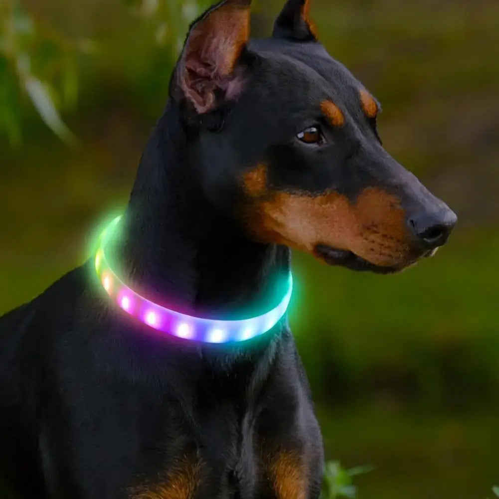 Rechargeable Pet Collar Rainproof Led Dog Collar Adjustable Size Flashing Modes for Night Safety Rechargeable Silicone for Dogs