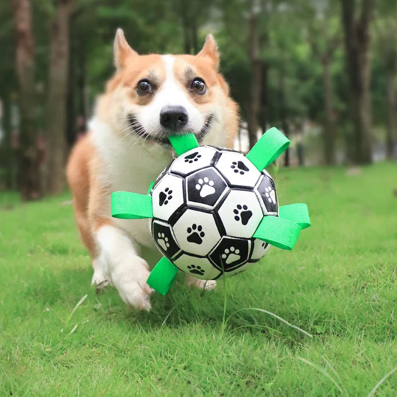 Dog Football Toy Pet Dog Toy Dog Interactive Toy Small Medium Breeds Soccer Ball Ball Against Dog Best Dog Toy Products For Dog