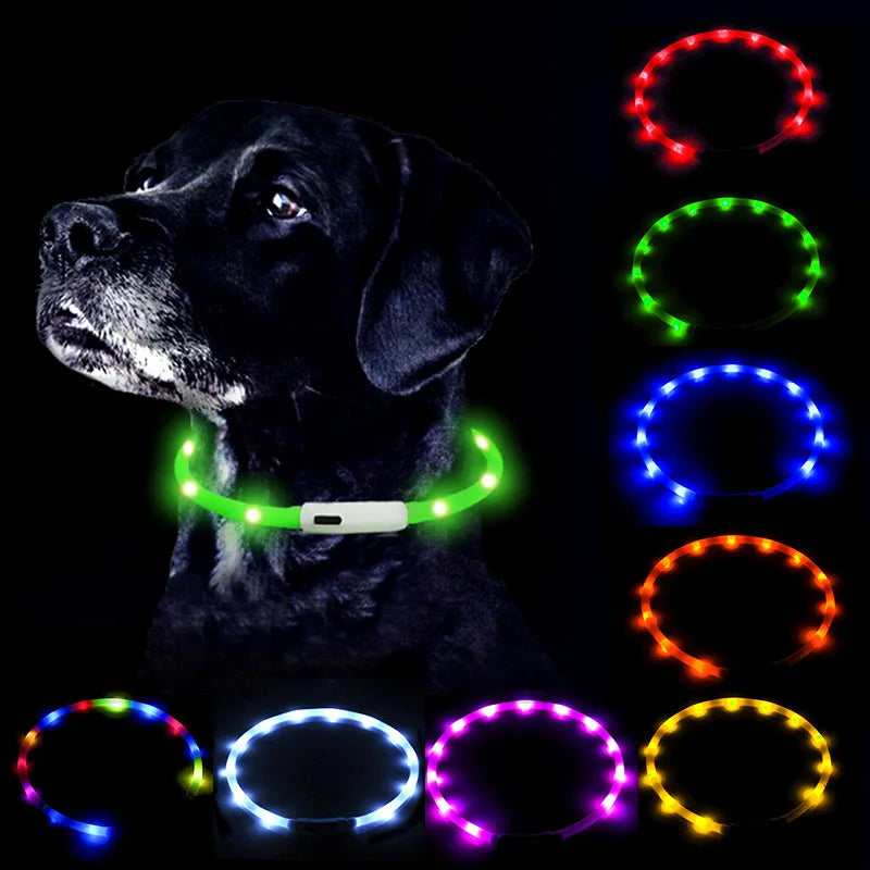 LED Glowing Dog Collar Flashing Rechargea Luminous Collar Night Anti-Lost Dog Light HarnessFor Puppy Pet Products