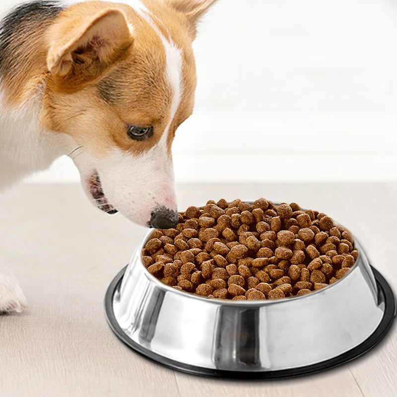 Stainless Steel Dog Bowl Anti-Gulping Slow Feeder Safe Washable Pet Food Water Bowl Small Medium Large Dog Slow Eating