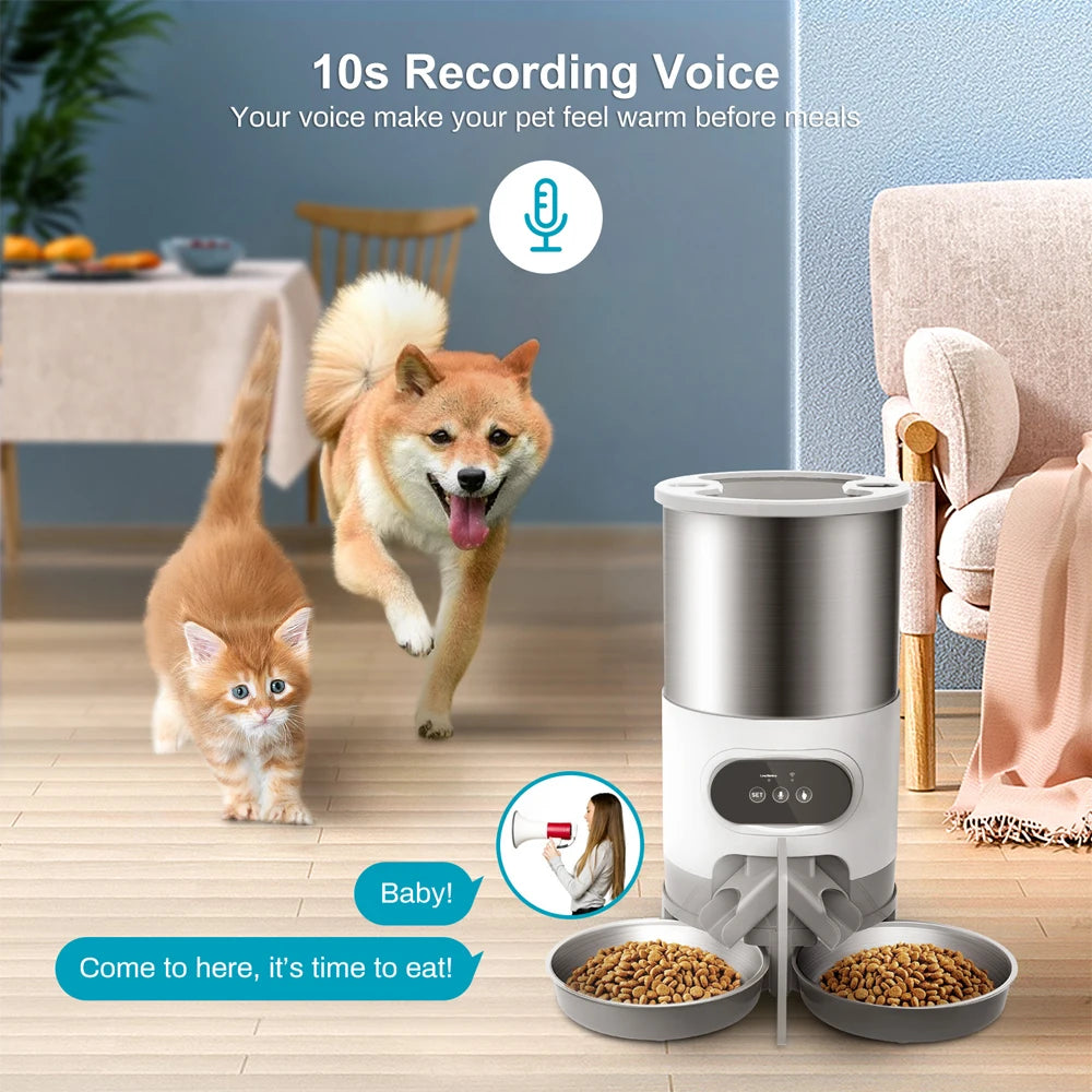 Smart APP Pet Feeder Cat And Dog Food Automatic Dispenser Stainless Steel Bowl Cats And Dogs With Recording Timing Feeding