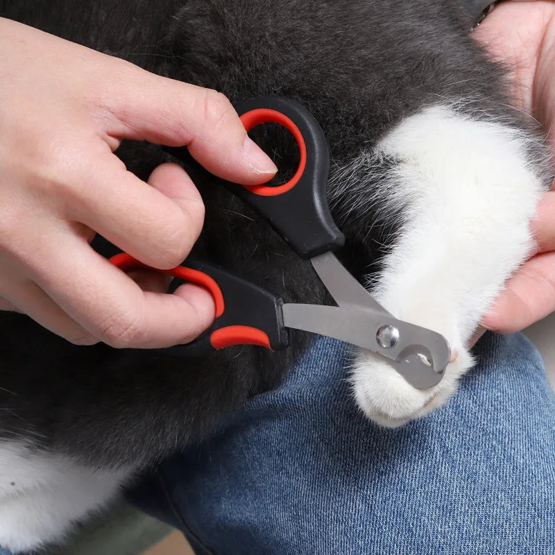 1PC Pet Nail Scissors Dog Cat Nail Claw Grooming Scissors Pet Nails Clipper Trimmer Supplies For Dog Cat Bird Rabbit Pet Gargets