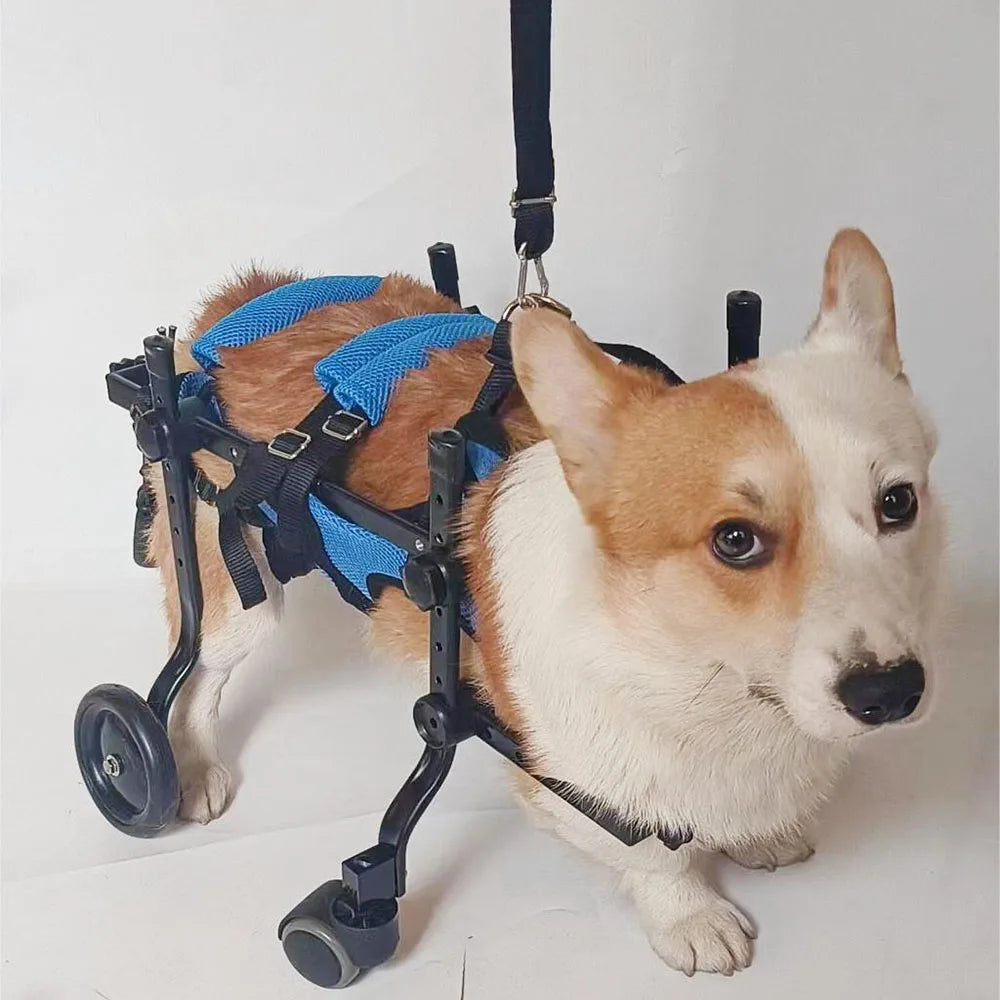 Dog Wheelchair Paralyzed Rehabilitation Four-Wheeled Wheelchair Elderly Disability Mobility Aid Car Teddy Pet Hind Leg Support