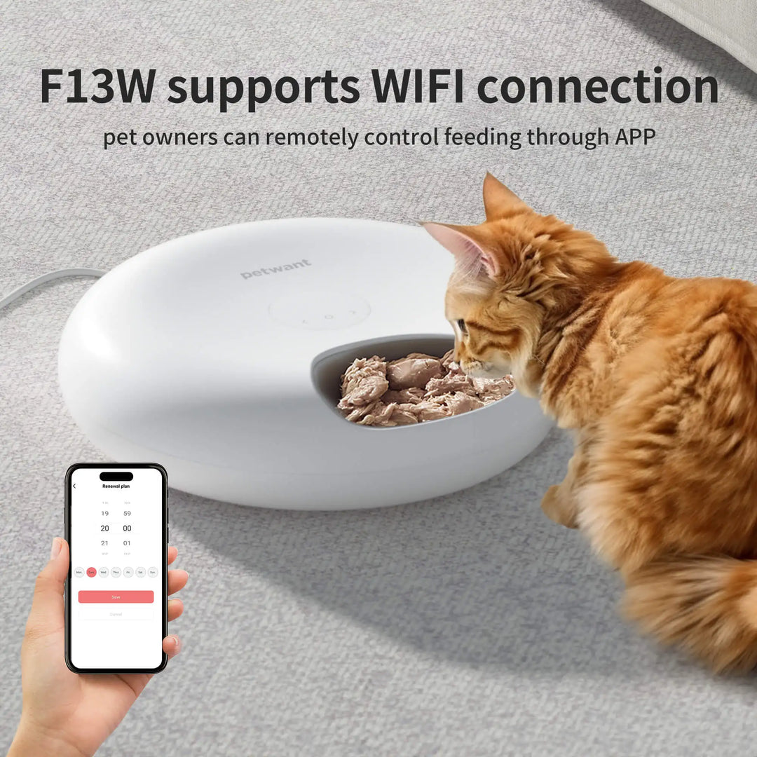 Petwant Smart Wireless Cat Dog Small Animals 6 meals Dry Wet Food Dispenser APP WIFI Remote Timed Automatic Pet Bowls Feeder