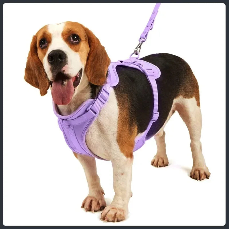 Dog Walking Set New Anti Bite Chest Strap Traction Rope Garbage Bags Box Dogs Chest Harnesses Collar Walking Dog Four Piece Set