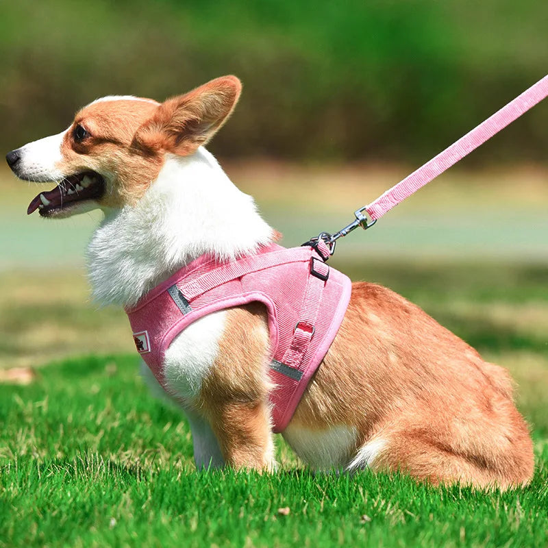 Dog Harness Dog Traction Rope Corduroy Breathable Dog Chest Strap Reflective Pet Chest Strap Walking Rope Set