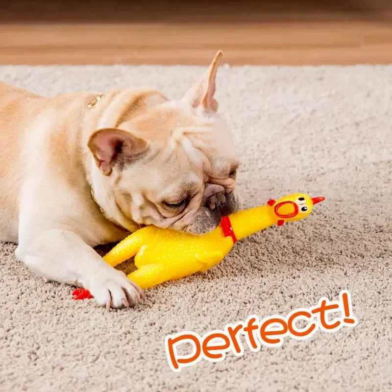 Funny Screaming Chicken Pet Dog Chew Toys Squeeze Sound Molar Chew Toys for Small Medium Large Dogs Chicken Pet Dog Toy Puppy