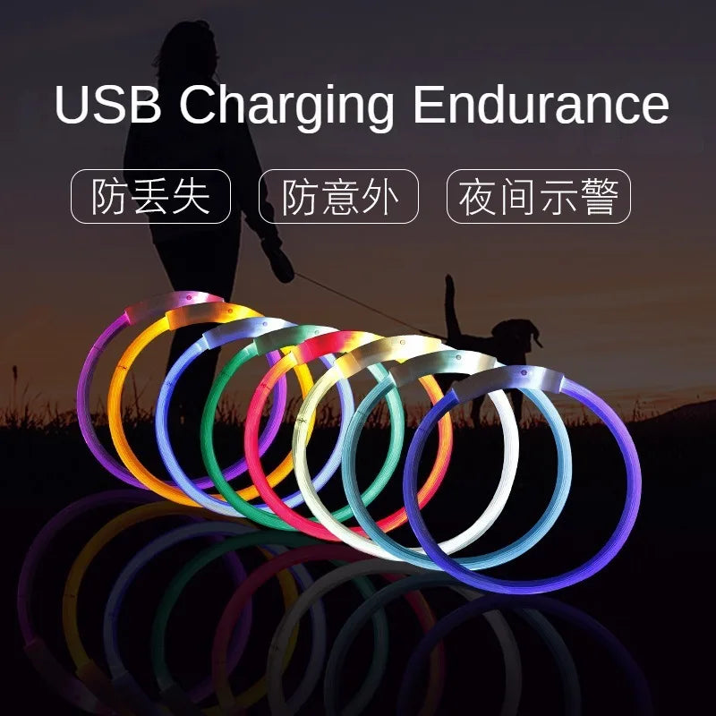 LED Glowing Dog Collar Flashing Rechargea Luminous Collar Night Anti-Lost Dog Light HarnessFor Puppy Pet Products