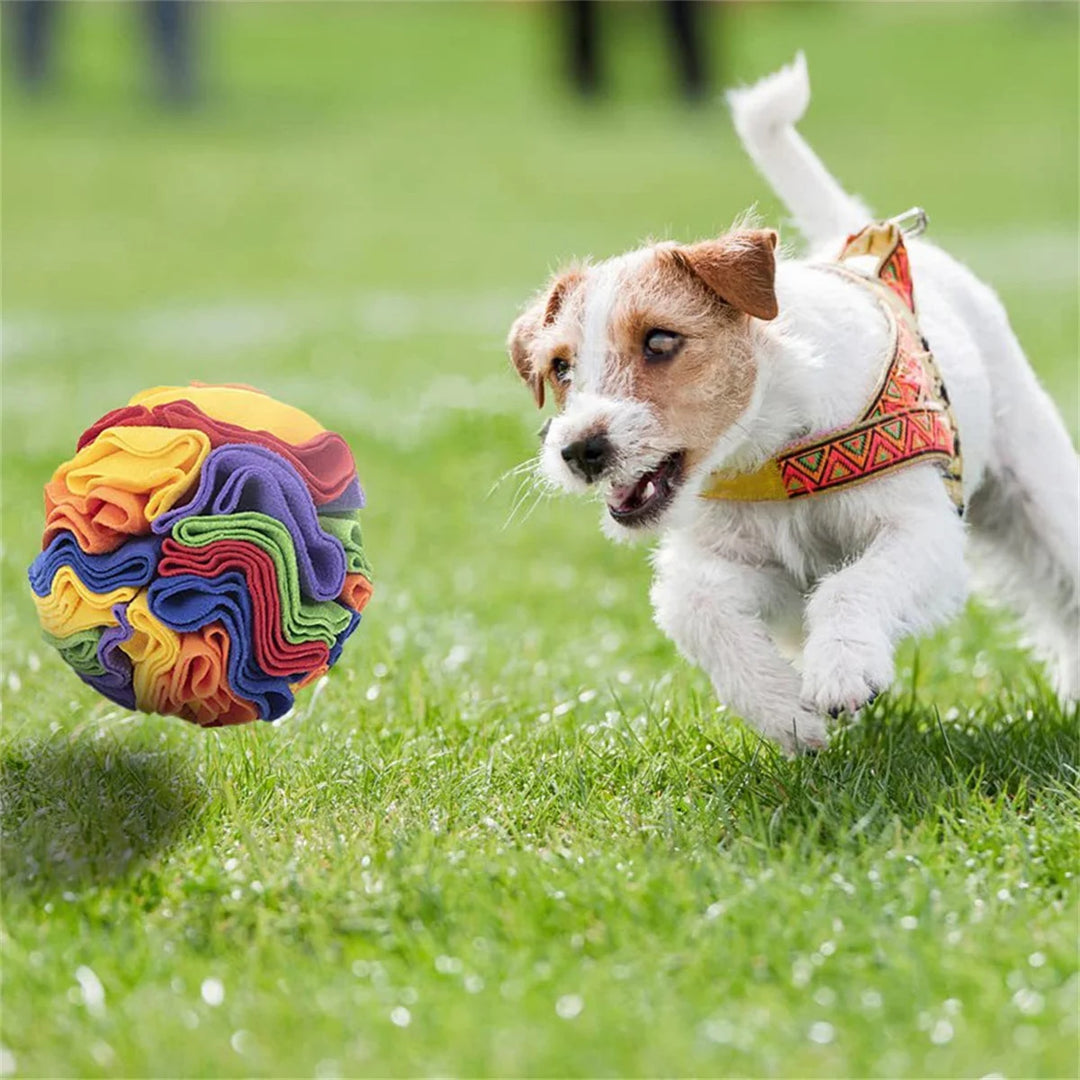 Dog Sniffing Ball Puzzle Toys Increase IQ Slow Dispensing Feeder Foldable Dog Nose Sniff Toy Pet Training Games Intelligence Toy